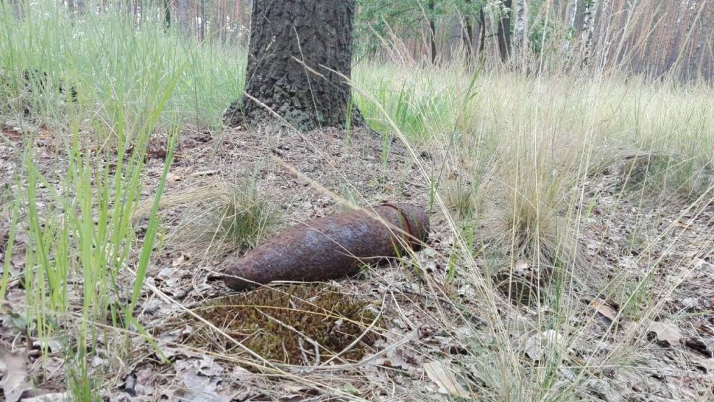 Safe field – safe life: the «ATOM» foundation surveys 469 hectares in the Snihurivka community